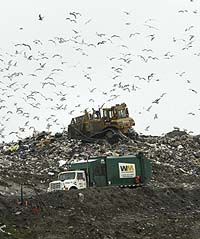 Ottawa Must Plan for Garbage | Unpublished Ottawa